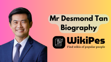 Mr Desmond Tan biography