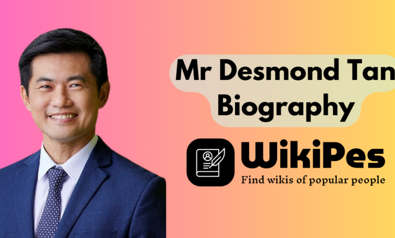 Mr Desmond Tan biography