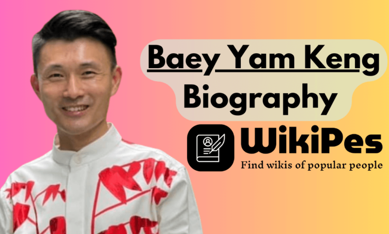 Mr Baey Yam Keng Biography