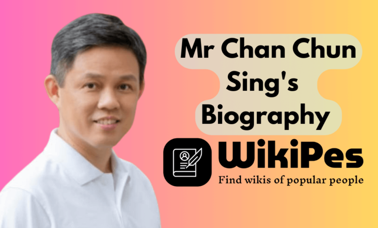 Mr Chan Chun Sing's Biography